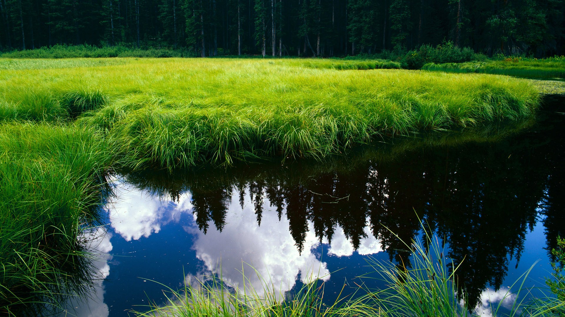 绿茵迷梦，加克波的掌控术与希腊铁壁的平行交响