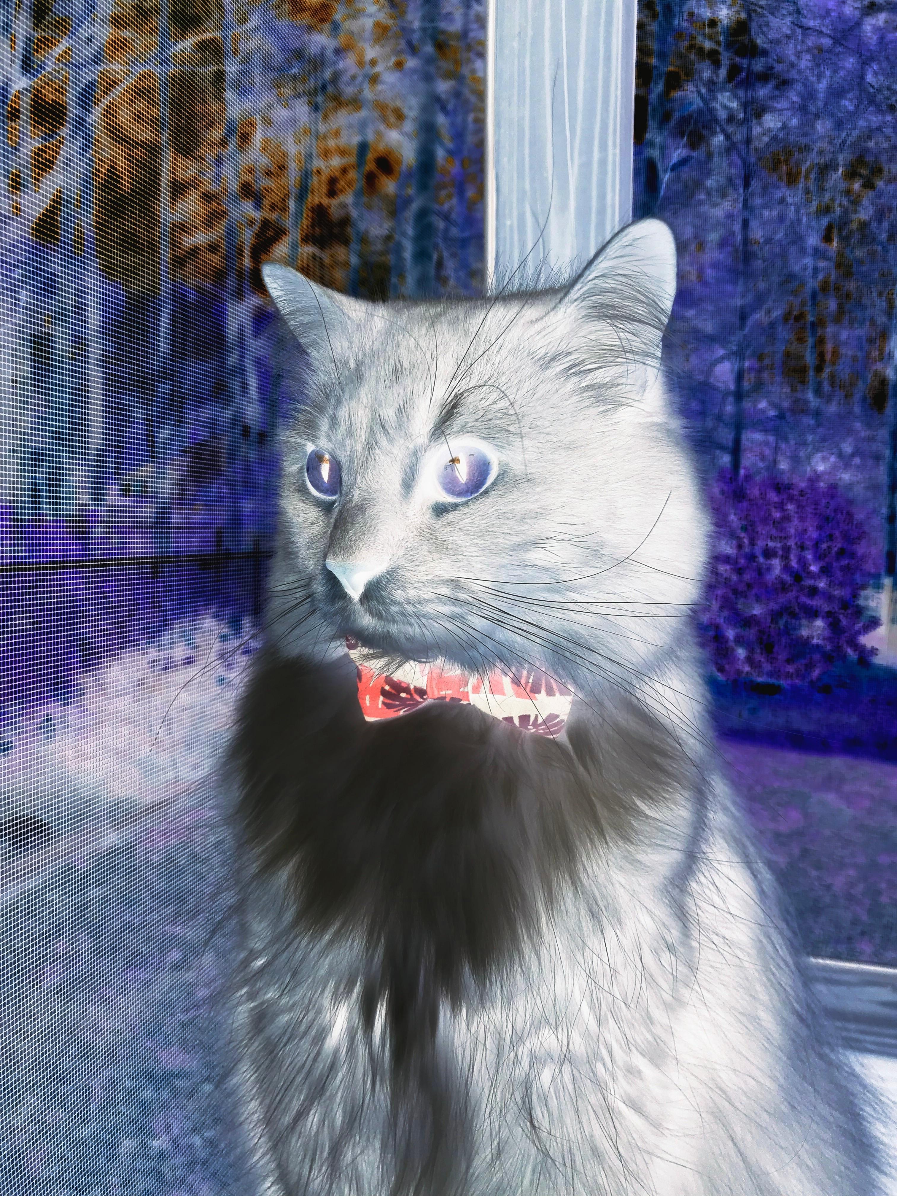 下载-公牛末节19-0毁灭森林狼，恩比德无争议当选全场最佳