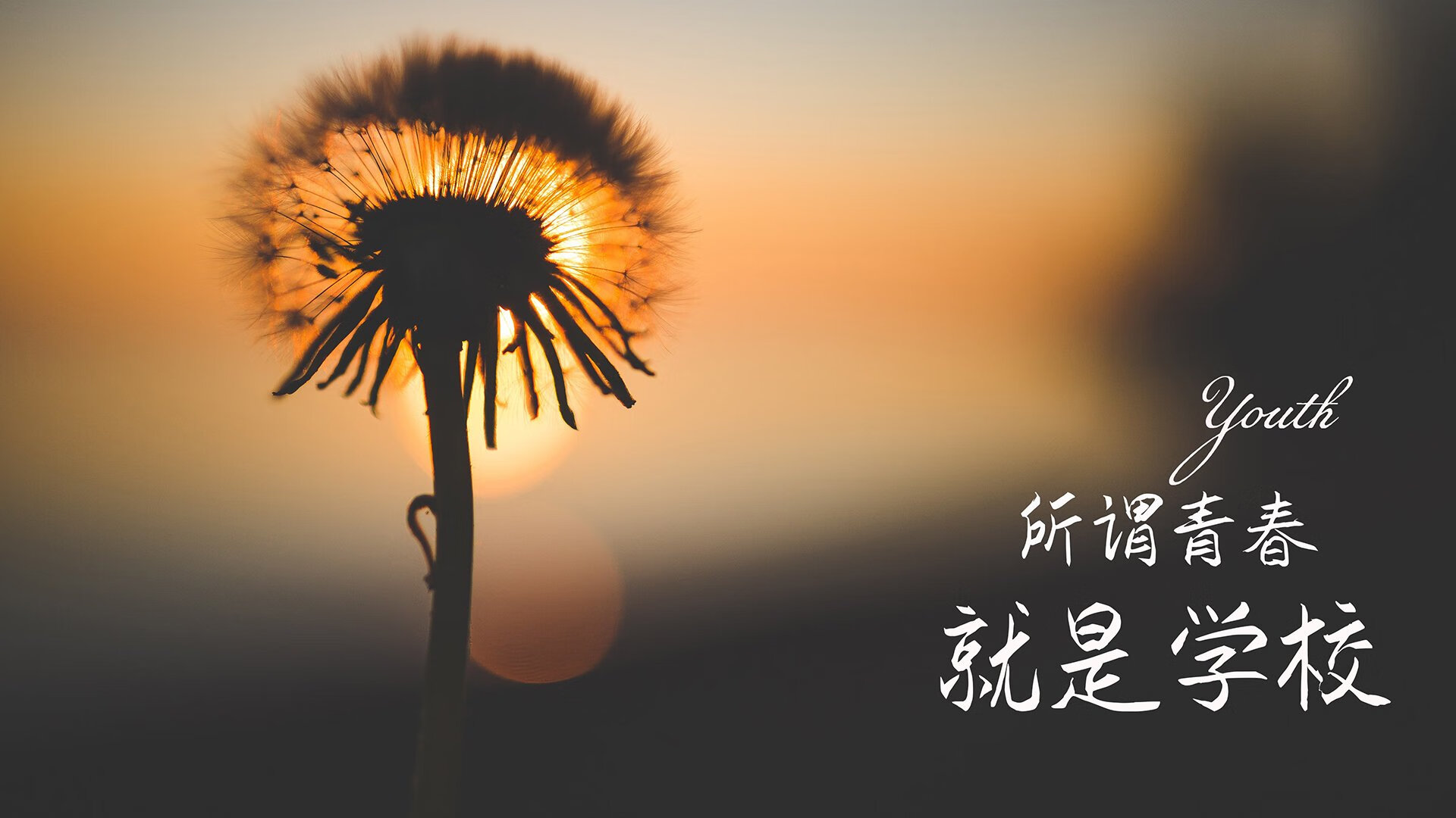 开云官网-当沙漠升起蓝光，2026世界杯H组最不可思议的逆转之夜